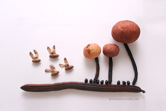 I Use Seeds to Create Faces, Insects, Flags And Abstract Pictures