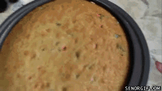 21-step Guide On How To Cook With Cats 21-step Guide On How To Cook With Cats