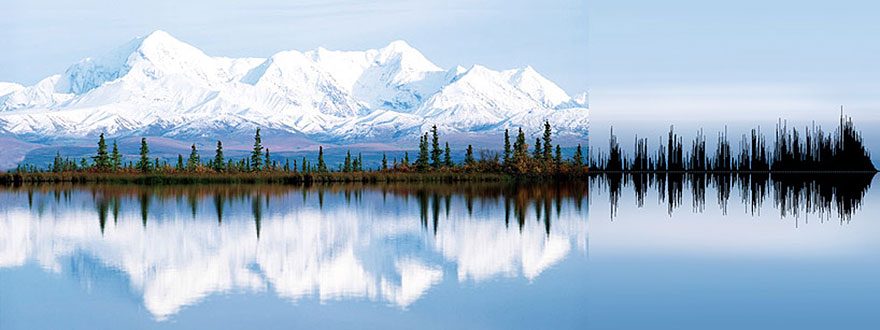 Nature’s Patterns Transformed Into Sound Waves Nature’s Patterns Transformed Into Sound Waves