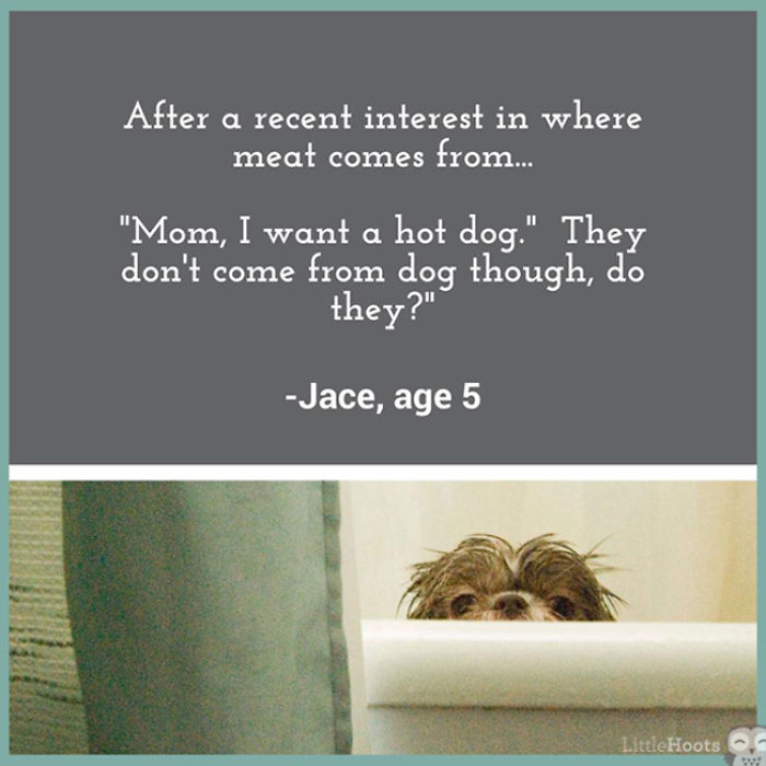 85 Most Brilliant Kids’ Quotes This Year From LittleHoots 85 Most Brilliant Kids’ Quotes This Year From LittleHoots