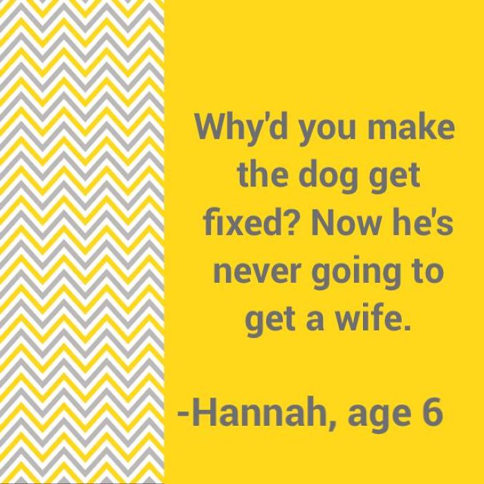 85 Most Brilliant Kids’ Quotes This Year From LittleHoots 85 Most Brilliant Kids’ Quotes This Year From LittleHoots