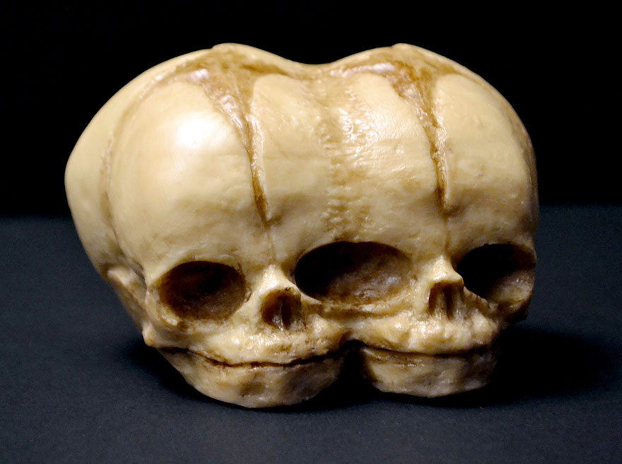 Creepy Realistic Cake Art By Annabel de Vetten Creepy Realistic Cake Art By Annabel de Vetten