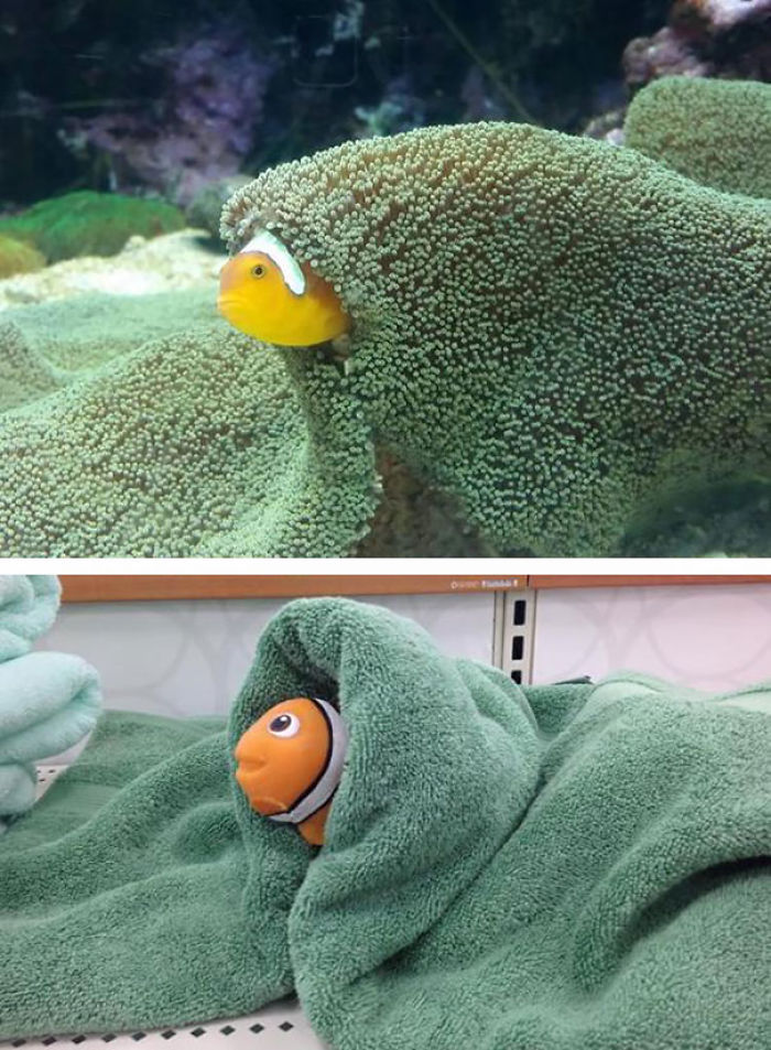 76 Things That Are Hilariously Similar To Each Other (Part 3)