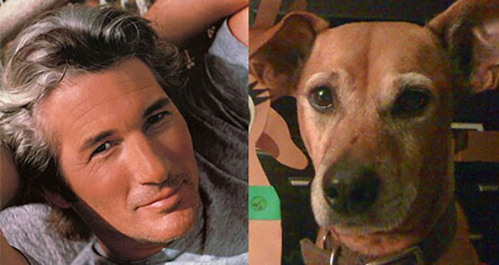 76 Things That Are Hilariously Similar To Each Other (Part 3)