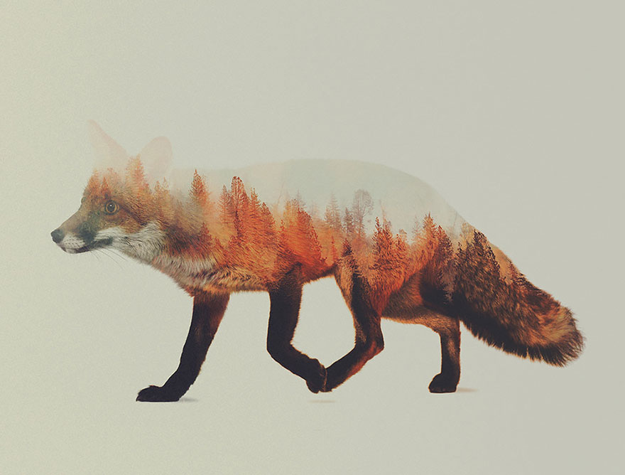 Double-Exposure Animal Portraits By Norwegian Photographer