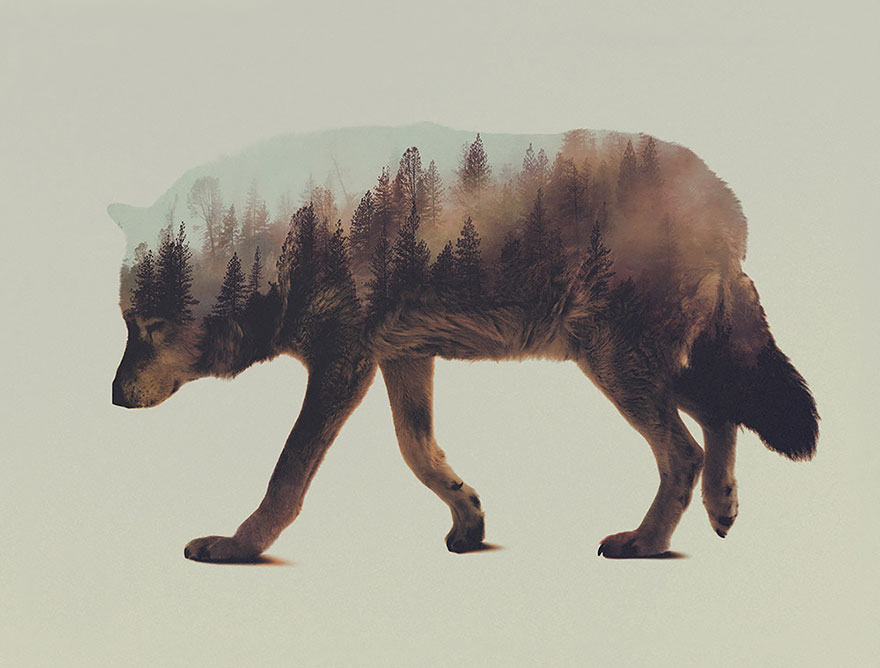 Double-Exposure Animal Portraits By Norwegian Photographer