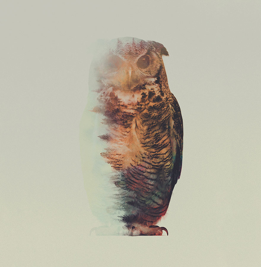 Double-Exposure Animal Portraits By Norwegian Photographer