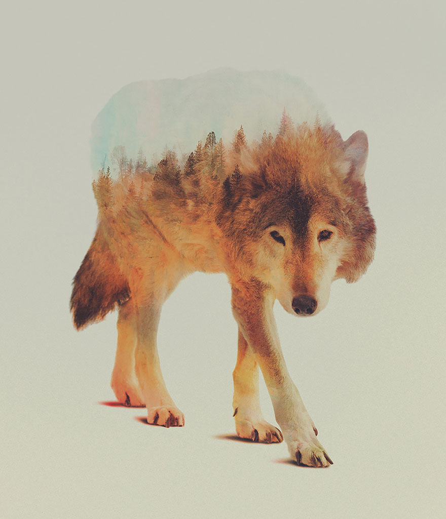 Double-Exposure Animal Portraits By Norwegian Photographer