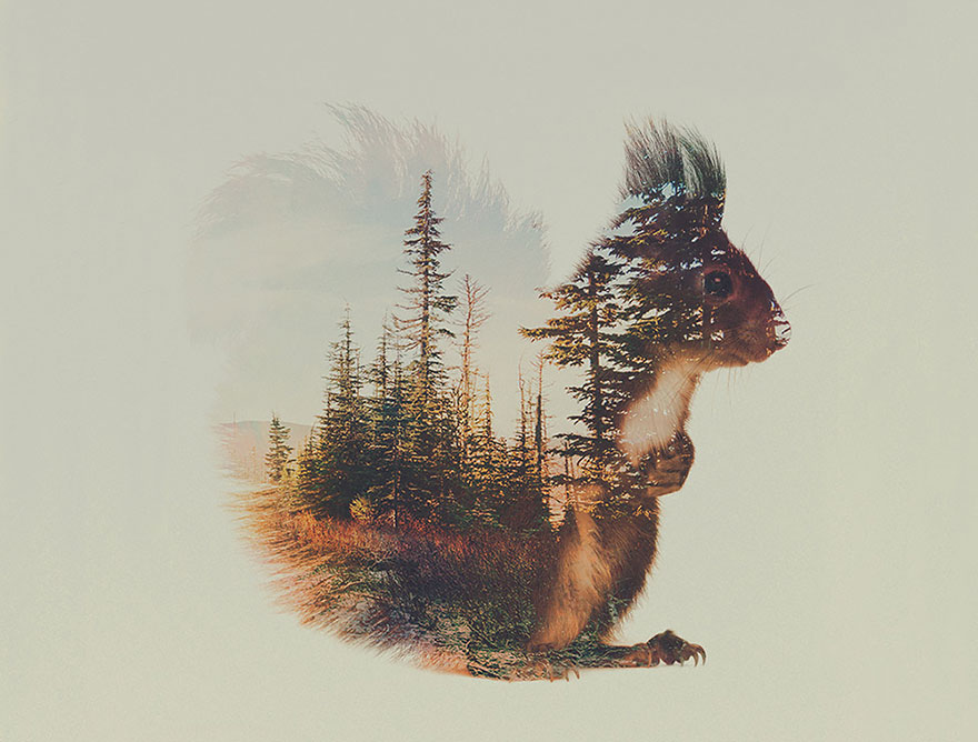 Double-Exposure Animal Portraits By Norwegian Photographer