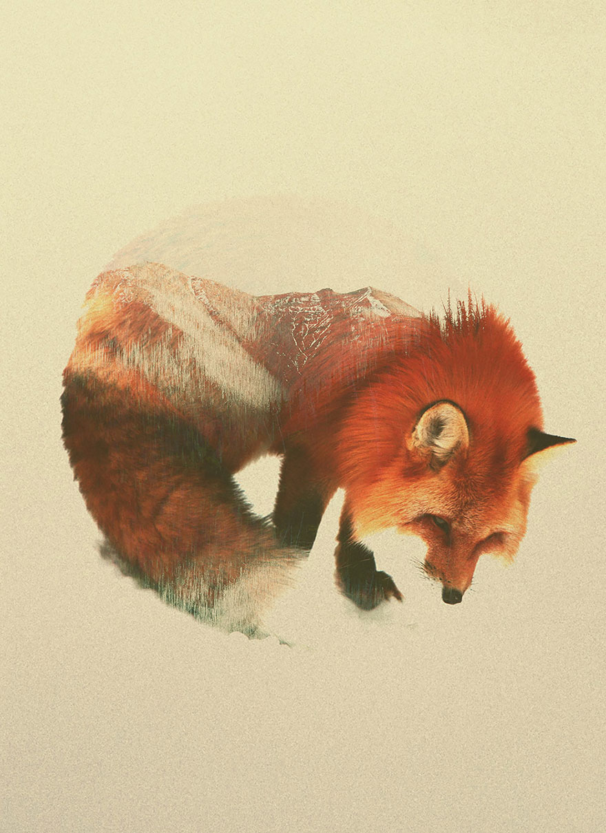 Double-Exposure Animal Portraits By Norwegian Photographer
