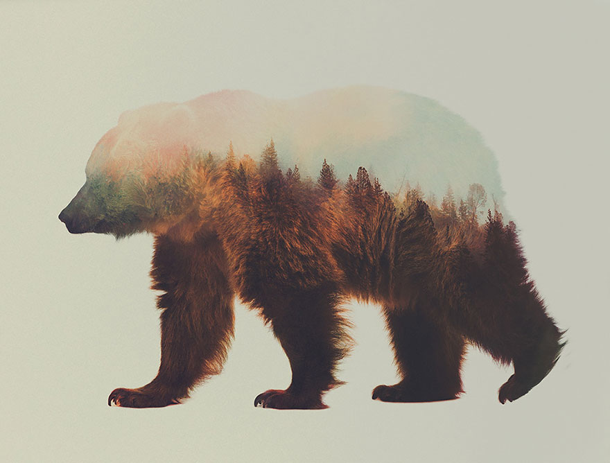 Double-Exposure Animal Portraits By Norwegian Photographer