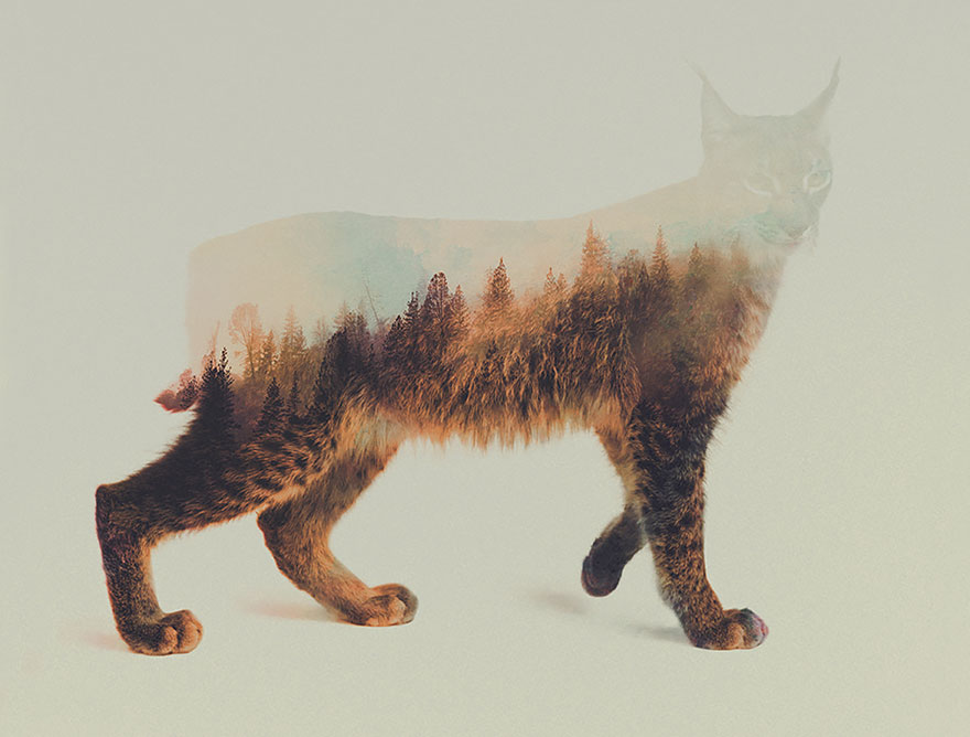 Double-Exposure Animal Portraits By Norwegian Photographer