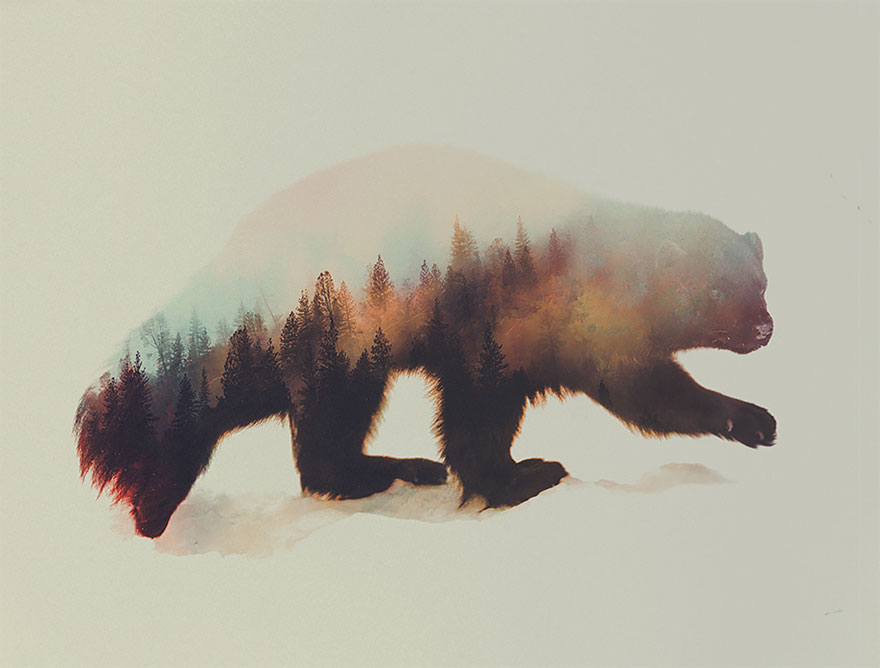 Double-Exposure Animal Portraits By Norwegian Photographer