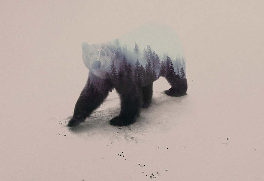 Double-Exposure Animal Portraits By Norwegian Photographer