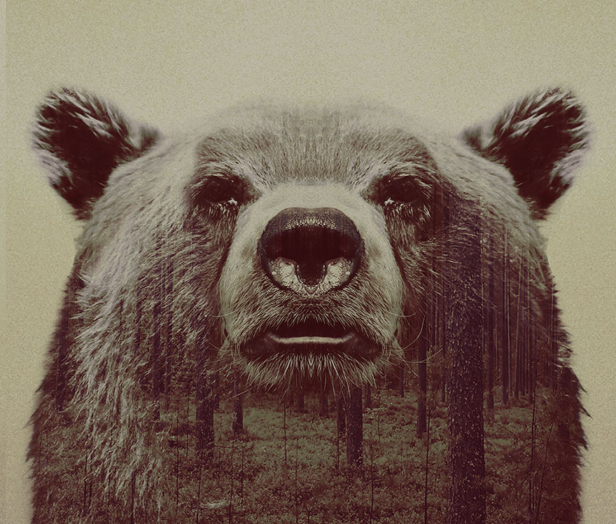 Double-Exposure Animal Portraits By Norwegian Photographer