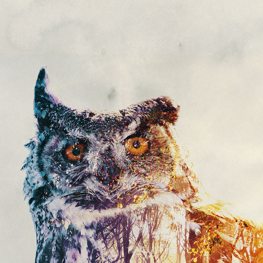 Double-Exposure Animal Portraits By Norwegian Photographer