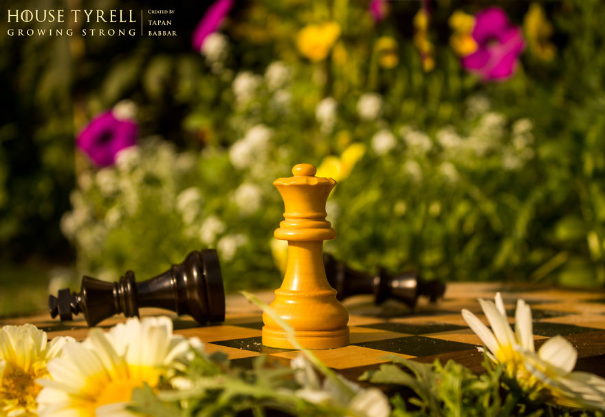 Game Of Thrones Houses Created With Chess Game Of Thrones Houses Created With Chess