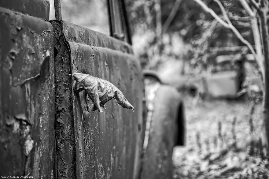Amazing Old Car Cemetery In Poland Amazing Old Car Cemetery In Poland