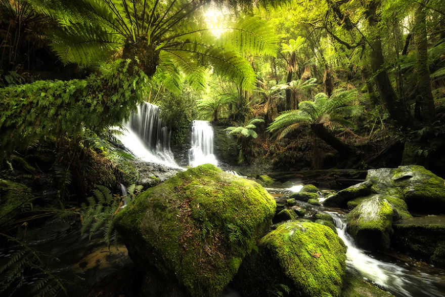 Photography Helped Me Defeat Depression And See The World In A New Light Photography Helped Me Defeat Depression And See The World In A New Light