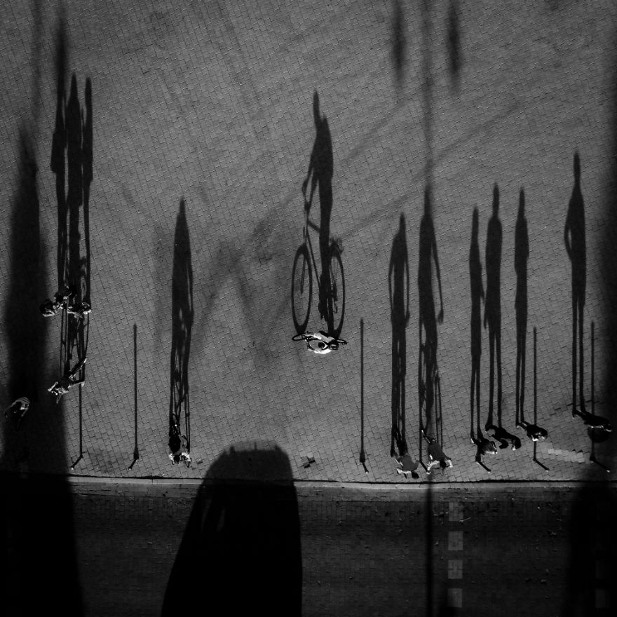 This Is How Birds See The World This Is How Birds See The World