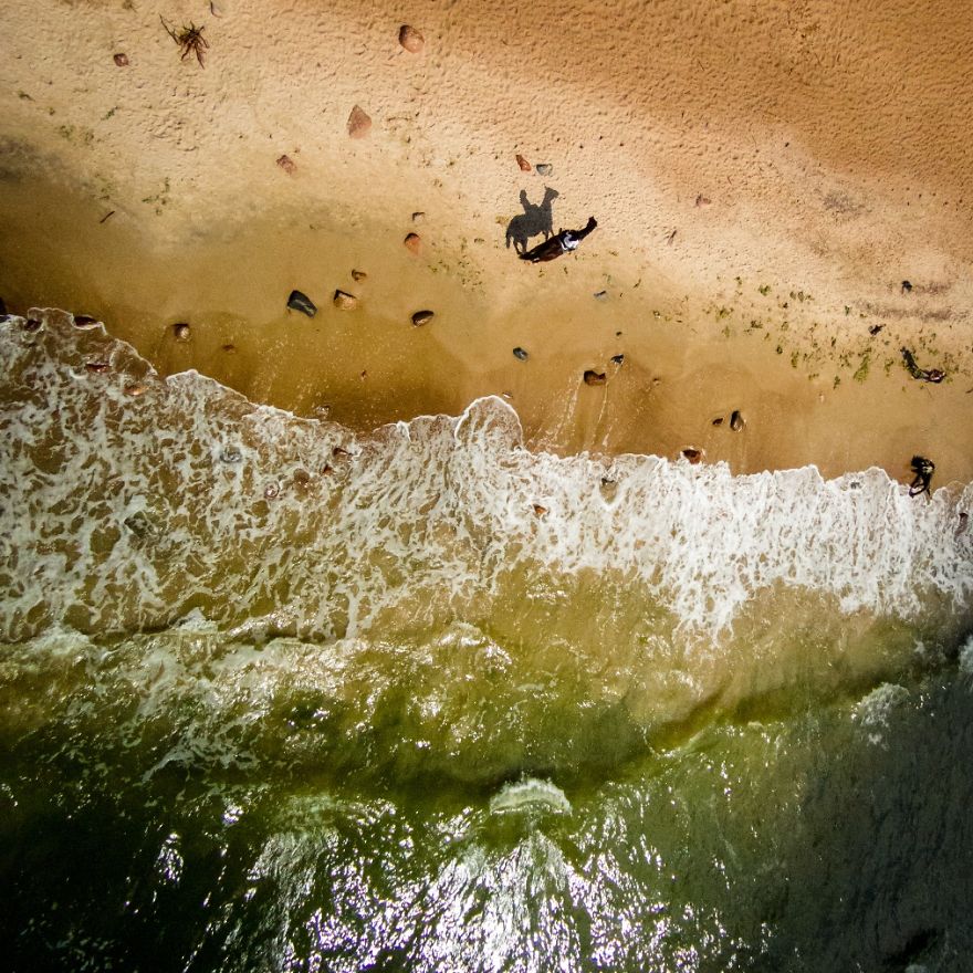 This Is How Birds See The World This Is How Birds See The World