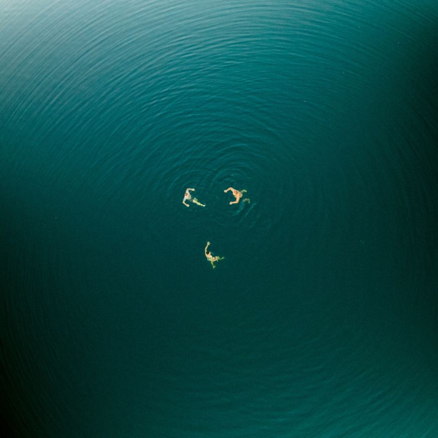 This Is How Birds See The World This Is How Birds See The World