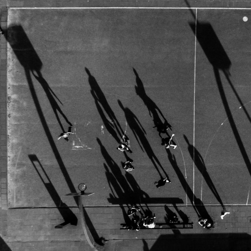 This Is How Birds See The World This Is How Birds See The World