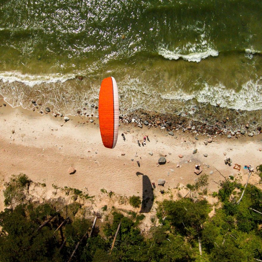 This Is How Birds See The World This Is How Birds See The World