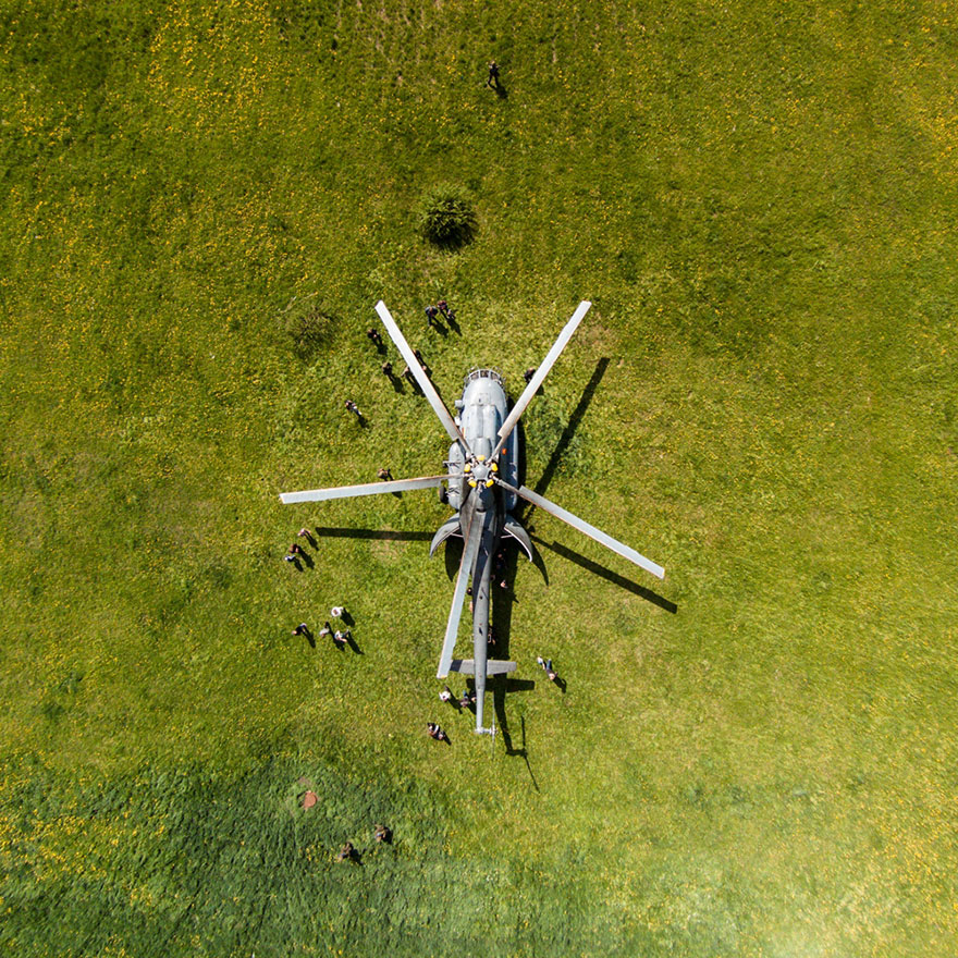 This Is How Birds See The World This Is How Birds See The World