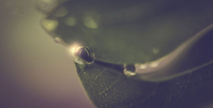 I Am A 15-Year-Old Photographer, And I Explore The World With My Camera