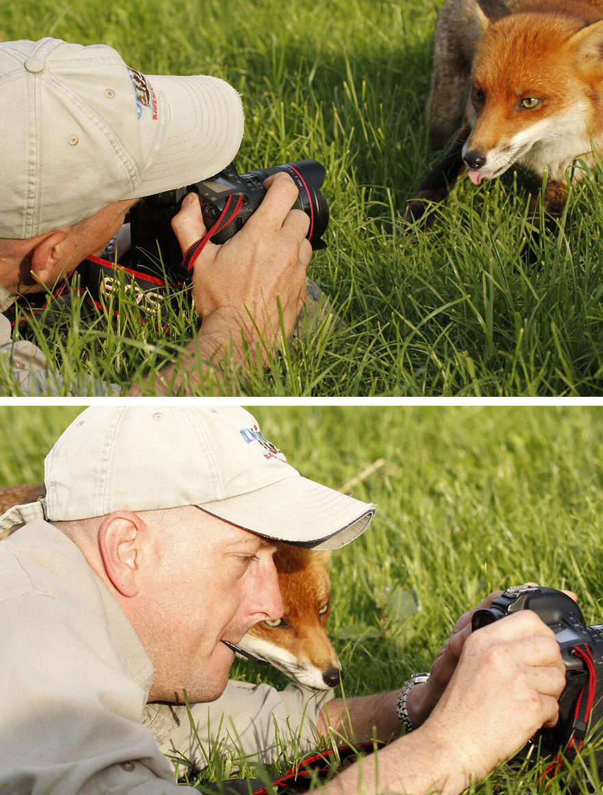 51 Animals That Want To Be Photographers