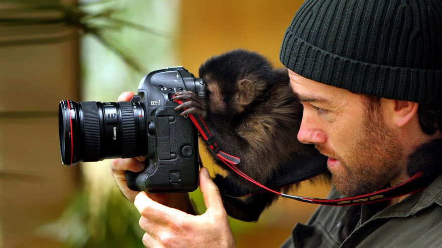 51 Animals That Want To Be Photographers