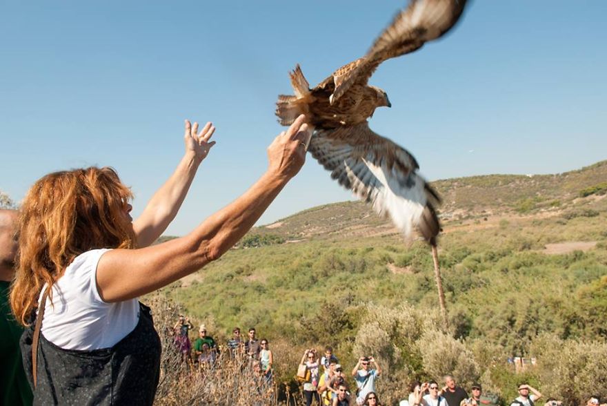 We Heal Injured Animals And Release Them Back To The Wild