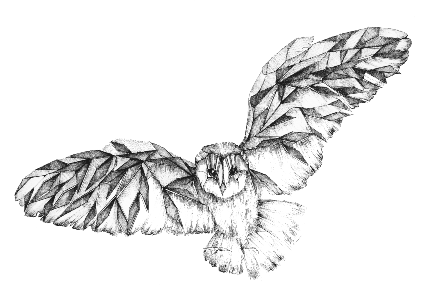 My Mechanical Birds Drawn With Ink My Mechanical Birds Drawn With Ink