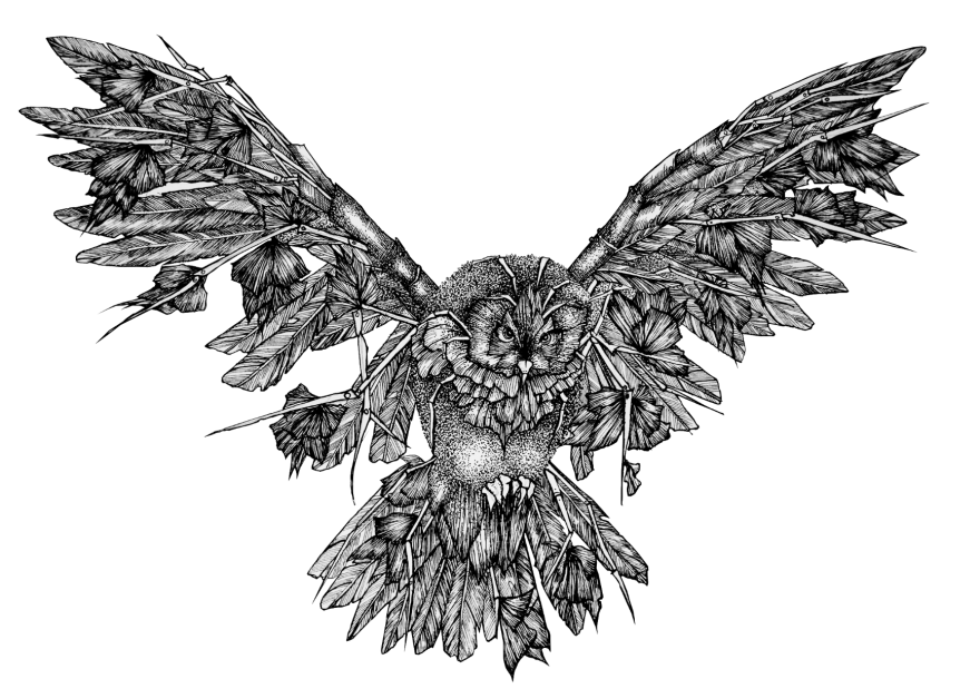 My Mechanical Birds Drawn With Ink My Mechanical Birds Drawn With Ink