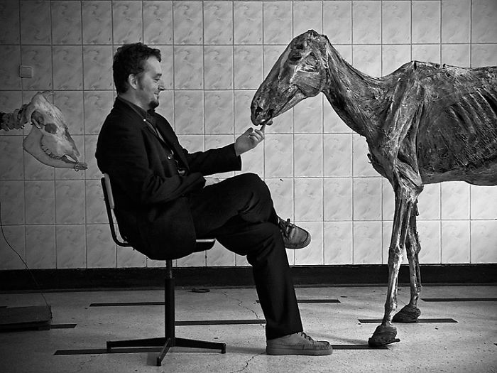 I Combine Photography And Veterinary Medicine Into Art I Combine Photography And Veterinary Medicine Into Art