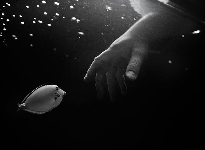 I Combine Photography And Veterinary Medicine Into Art I Combine Photography And Veterinary Medicine Into Art