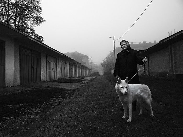 I Combine Photography And Veterinary Medicine Into Art I Combine Photography And Veterinary Medicine Into Art