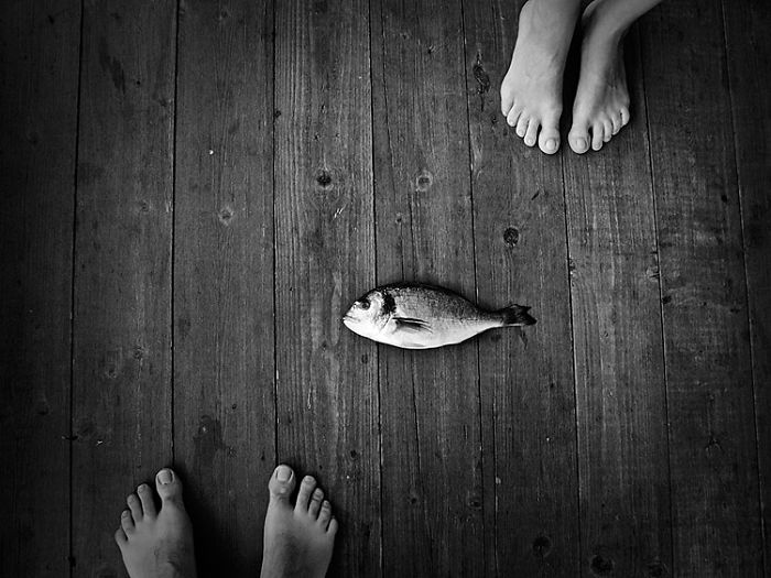 I Combine Photography And Veterinary Medicine Into Art I Combine Photography And Veterinary Medicine Into Art