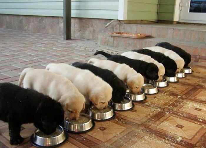 112 Photos That Will Annoy The Perfectionist In You 112 Photos That Will Annoy The Perfectionist In You