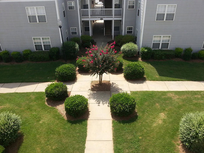 112 Photos That Will Annoy The Perfectionist In You 112 Photos That Will Annoy The Perfectionist In You