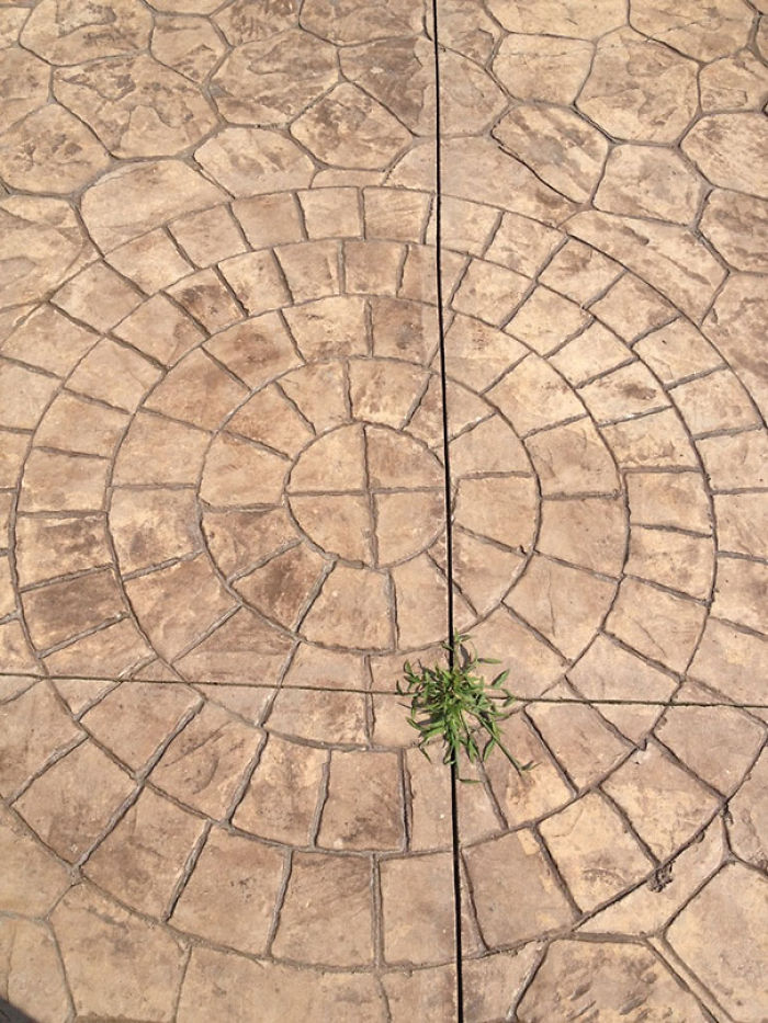 112 Photos That Will Annoy The Perfectionist In You 112 Photos That Will Annoy The Perfectionist In You