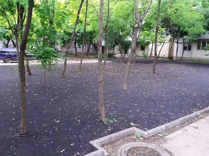 112 Photos That Will Annoy The Perfectionist In You 112 Photos That Will Annoy The Perfectionist In You