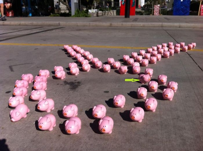 112 Photos That Will Annoy The Perfectionist In You 112 Photos That Will Annoy The Perfectionist In You