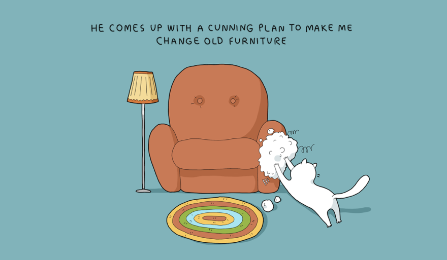 Things My Cat Does When I Am Not At Home