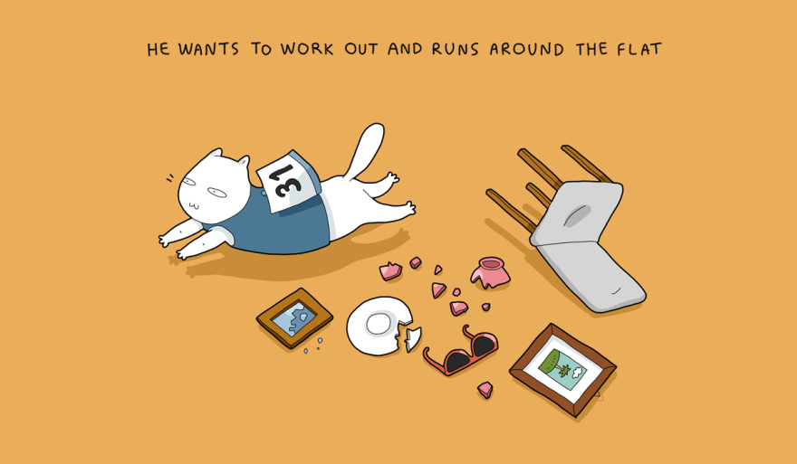 Things My Cat Does When I Am Not At Home