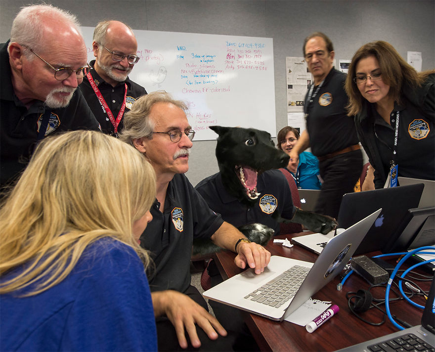 A Dog Protected A Kitten During A Lightning Storm, And Here’s How The Internet Responded A Dog Protected A Kitten During A Lightning Storm, And Here’s How The Internet Responded