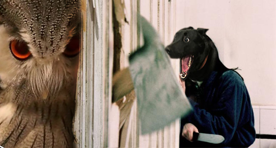 A Dog Protected A Kitten During A Lightning Storm, And Here’s How The Internet Responded A Dog Protected A Kitten During A Lightning Storm, And Here’s How The Internet Responded