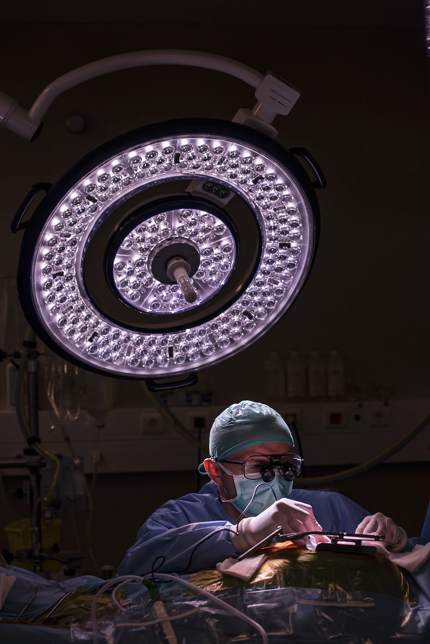 Gentle Violence: A Visual Exploration Of The Body During Open Heart Surgeries Gentle Violence: A Visual Exploration Of The Body During Open Heart Surgeries