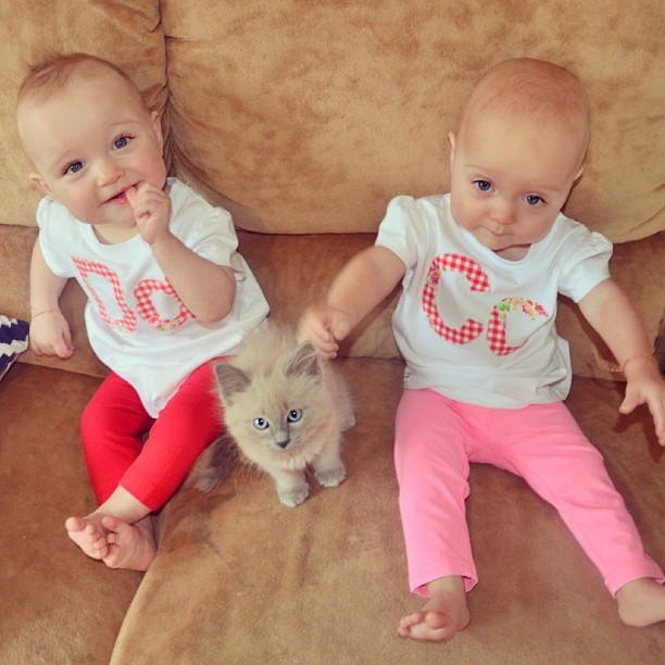 Mom Adds FAQ Signs To Her Twins After Getting Fed Up With Strangers’ Questions Mom Adds FAQ Signs To Her Twins After Getting Fed Up With Strangers’ Questions